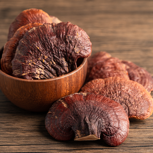 The Miraculous Power of Reishi Mushroom: Its Impact and Benefits on the Human Body