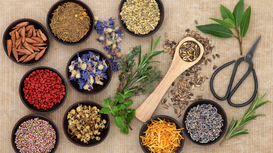 Going Herbal: Why Natural Remedies are the Way to Go